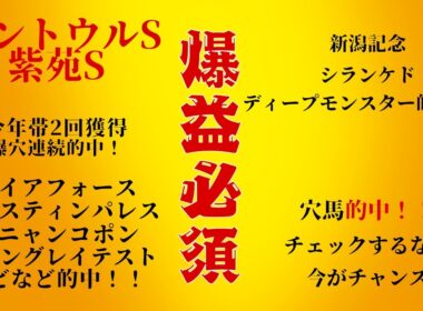 セントウルS本当にトウシンマカオで大丈夫か！？