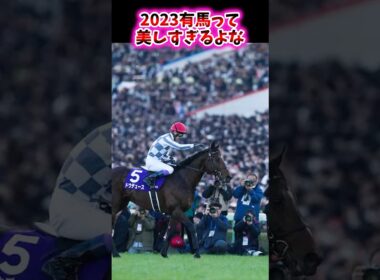 2023有馬記念って美しすぎるよな【競馬反応集】 #有馬記念 #ドウデュース #スターズオンアース #タイトルホルダー