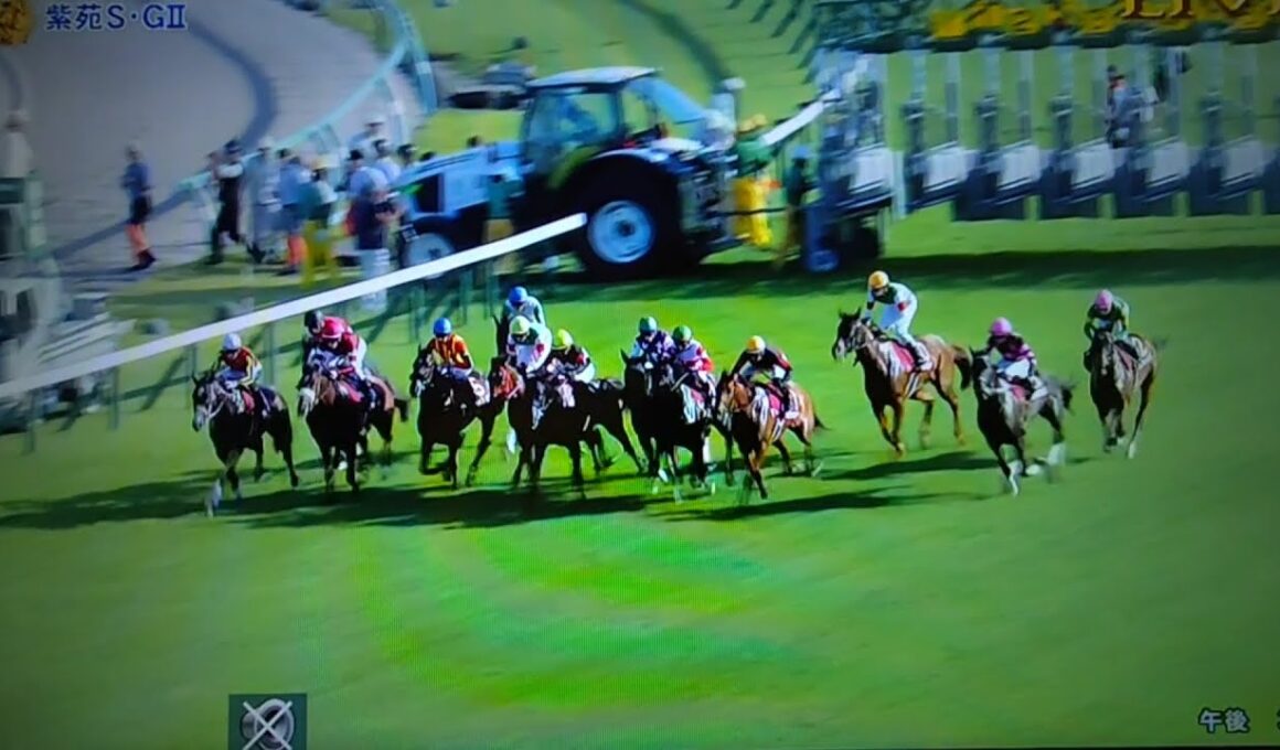 2055/9/7 第10回紫苑ステークス(G2・秋華賞トライアル)