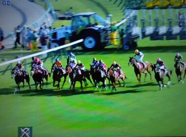 2055/9/7 第10回紫苑ステークス(G2・秋華賞トライアル)