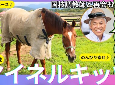 【マイネルキッツ２２歳の現在】天皇賞・春大穴激走Ｖから１６年…名伯楽・国枝調教師思い出の名馬
