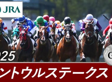 2025年 セントウルステークス（GⅡ） | 第39回 | JRA公式
