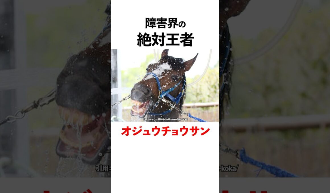 オジュウチョウサンの面白凄すぎる雑学