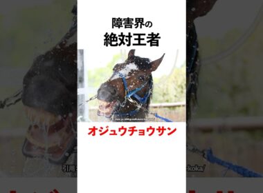オジュウチョウサンの面白凄すぎる雑学