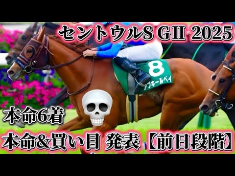 スプリンターズステークスへ【セントウルS GⅡ 2025】