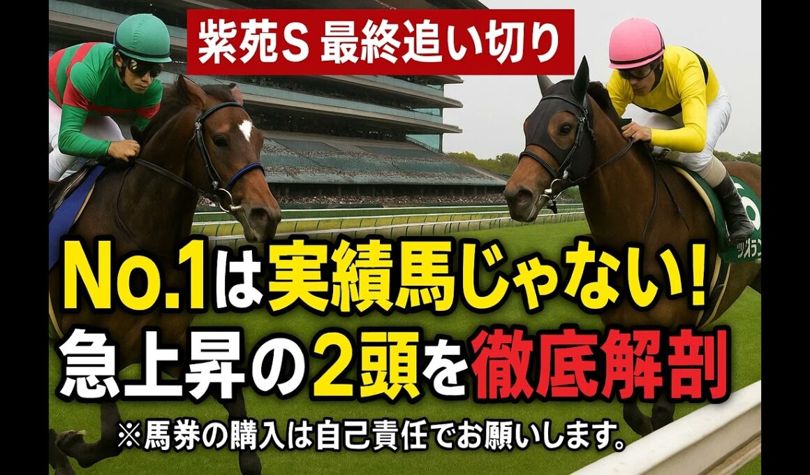 【追い切り評価 紫苑S 2025】S評価は伏兵マイスターヴェルク！良血ジョスランも本格化で波乱の気配？