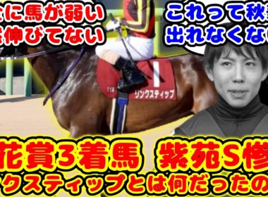 【競馬】紫苑S1番人気 桜花賞3着馬が8着惨敗 リンクスティップとは何だったのか？が話題に！！【競馬の反応集】