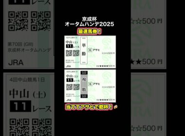 最速馬券！【京成杯オータムハンデ2025】