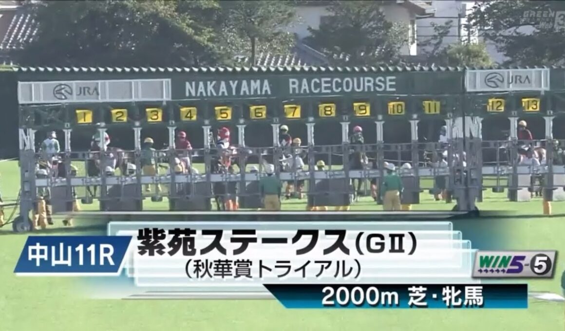 中山11R 第10回紫苑ステークス（GⅡ） 〈秋華賞トライアル〉