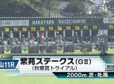 中山11R 第10回紫苑ステークス（GⅡ） 〈秋華賞トライアル〉