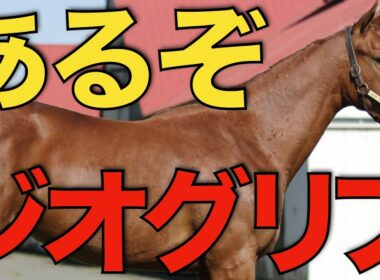最強世代の皐月賞馬がついに引退！種牡馬ジオグリフの可能性を探る。