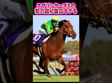スプリンターズSの勢力図が面白すぎる【競馬反応集】 #スプリンターズステークス #サトノレーヴ #ルガル #マッドクール #ママコチャ #カンチェンジュンガ #トウシンマカオ #ナムラクレア