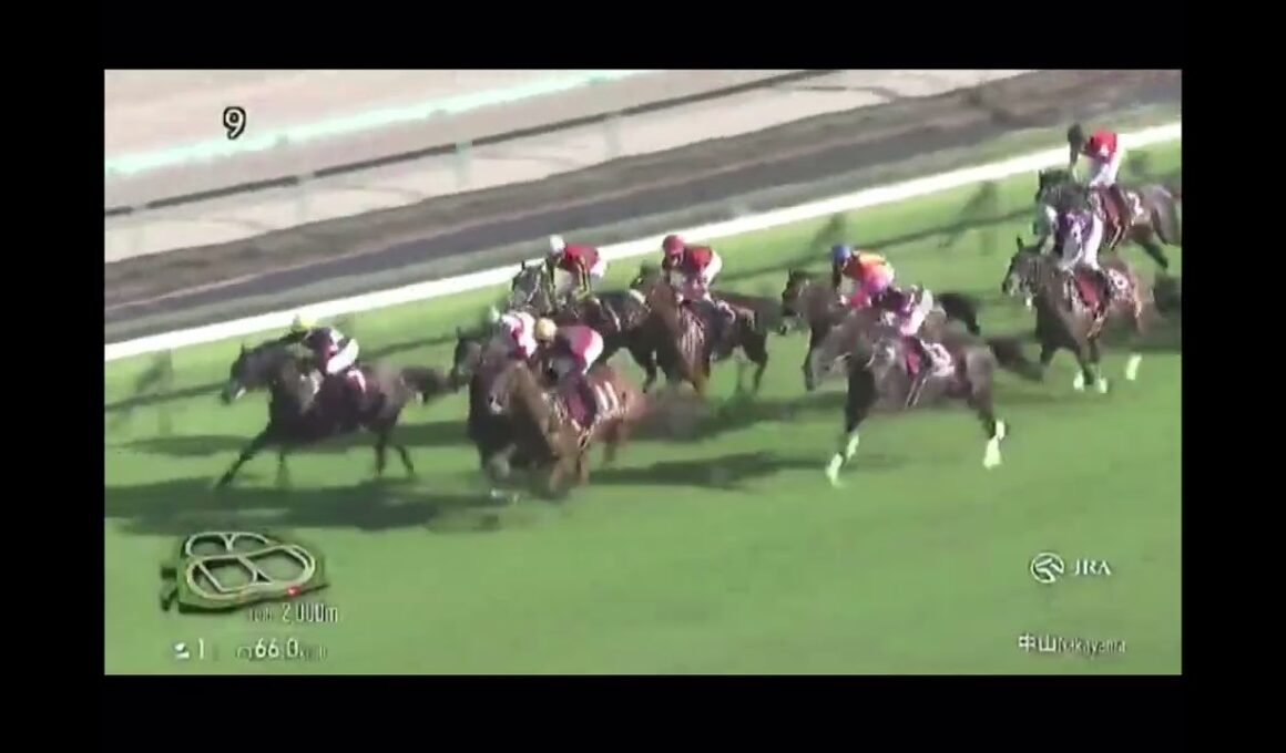 中山競馬第11R 〈秋華賞トライアル〉紫苑ステークス(GⅡ)