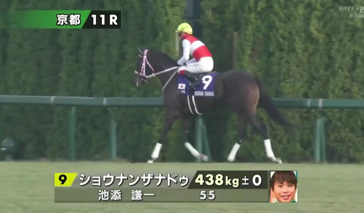 【本馬場入場】第76回阪神ジュベナイルフィリーズ(GⅠ) 2024/12/08