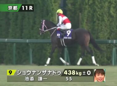 【本馬場入場】第76回阪神ジュベナイルフィリーズ(GⅠ) 2024/12/08