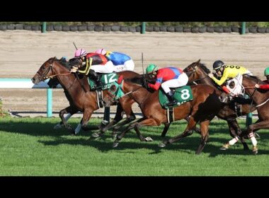 【競馬】GII紫苑S・産経賞セントウルSやります