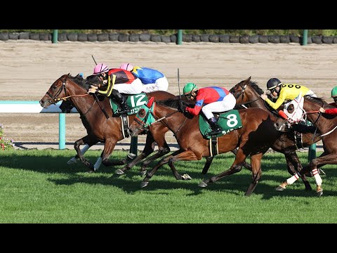【競馬】GII紫苑S・産経賞セントウルSやります