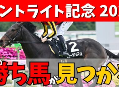 【セントライト記念 2025】菊花賞に向けての前哨戦🔥混戦模様の3歳牡馬戦線を制する馬は…？#競馬