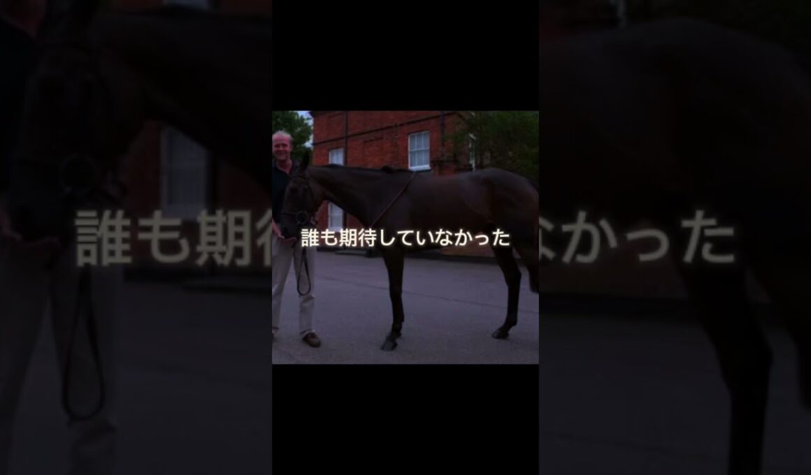 女王スノーフェアリー#競馬 #競馬mad #スノーフェアリー#エリザベス女王杯