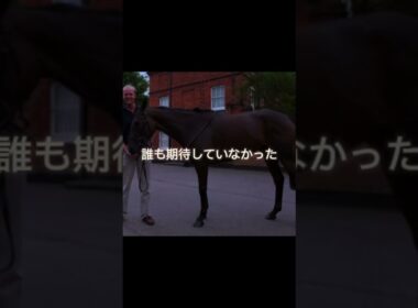 女王スノーフェアリー#競馬 #競馬mad #スノーフェアリー#エリザベス女王杯