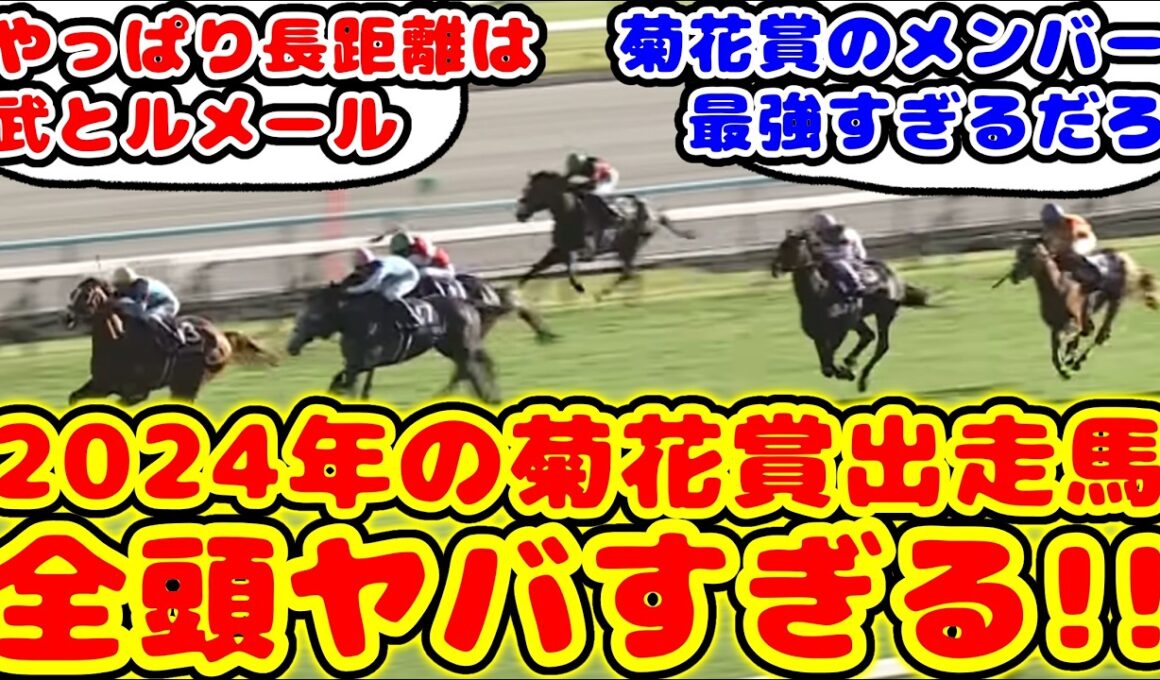 【競馬】2024年の菊花賞が出走メンバーが豪華すぎて伝説の菊花賞だと話題に！！【競馬の反応集】