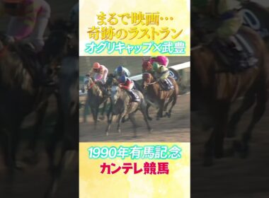#競馬 #有馬記念  #オグリキャップ  #武豊