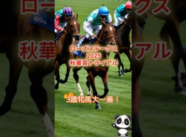 ローズステークス2025【レース傾向とポイント解説】秋華賞トライアルGⅡ