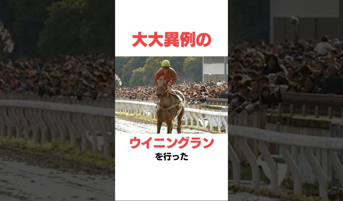 ハルウララの面白い雑学#競馬