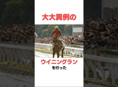 ハルウララの面白い雑学#競馬
