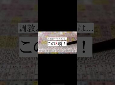4着まで...エリザベス女王杯 追い切り おすすめ 2024 #京都競馬ライブ #エリザベス女王杯 #エリ女