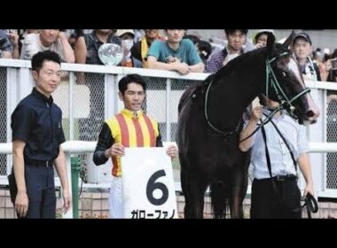 【新潟5R新馬戦】キタサン産駒が衝撃デビュー‼️「本気じゃないのに勝利⁉️」次走も戸崎圭太でイクイノックス級か⁉️🔥🐎