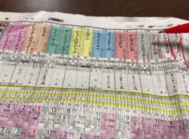 2024年秋の大運動会始まりです#スプリンターズステークス #jra#競馬 #競馬予想