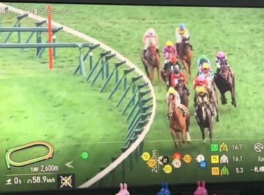 【競馬実況動画2025】丹頂S ミステリーウェイ (松本大輝)