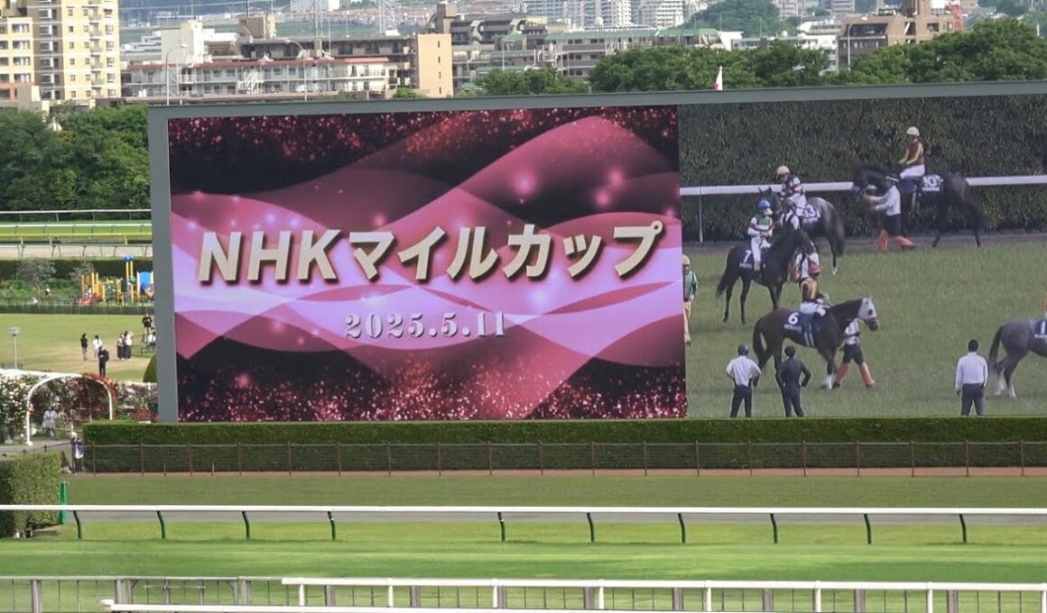 【NHKマイルカップ2025】レース前のカッコいい煽りV〜G1ファンファーレ(オイオイなし)【現地】