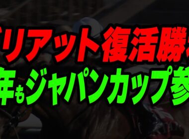 ゴリアット復活勝利！今年もジャパンカップ参戦