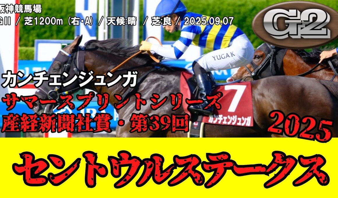 【競馬】 セントウルステークス 2025 / カンチェンジュンガ