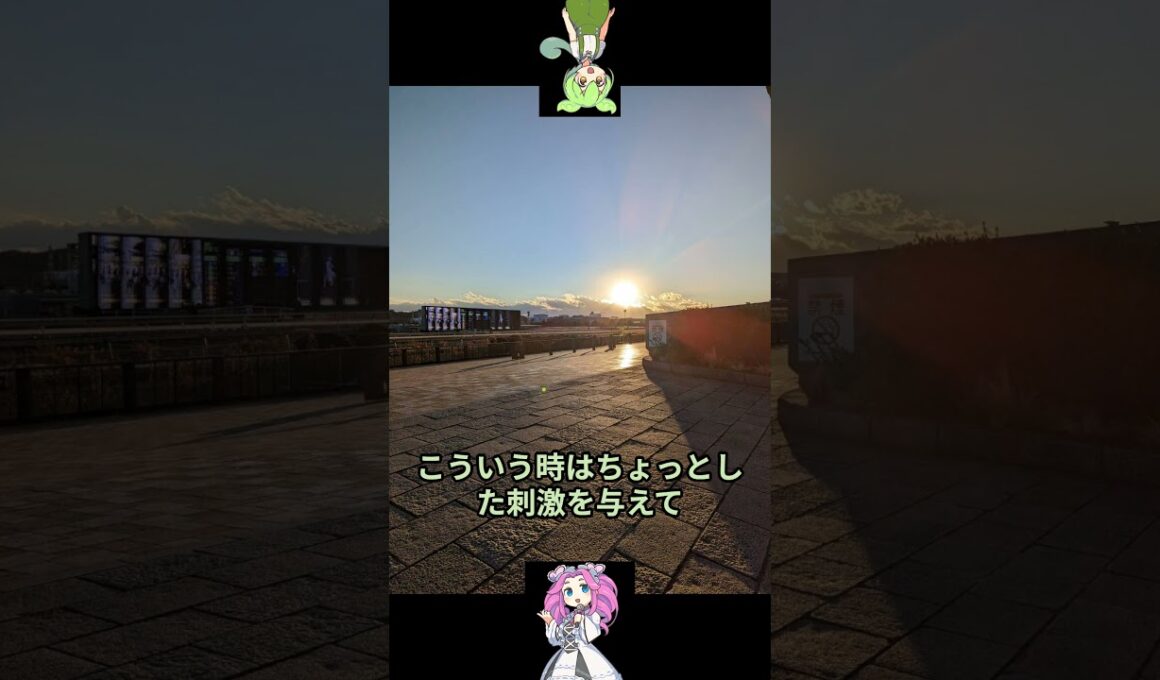 秋華賞予想のおまけ動画 　＃競馬 #競馬予想＃茶番