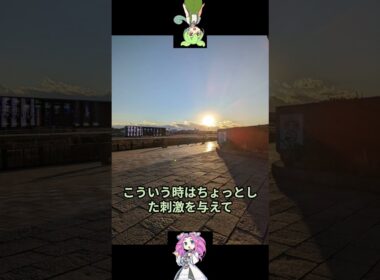 秋華賞予想のおまけ動画 　＃競馬 #競馬予想＃茶番