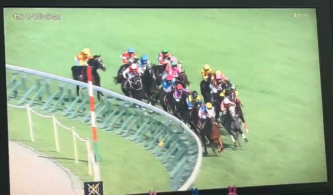 【競馬実況動画2025】第39回セントウルS カンチェンジュンガ (川田将雅)