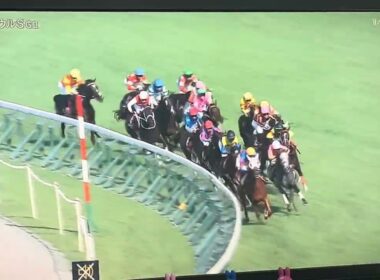 【競馬実況動画2025】第39回セントウルS カンチェンジュンガ (川田将雅)