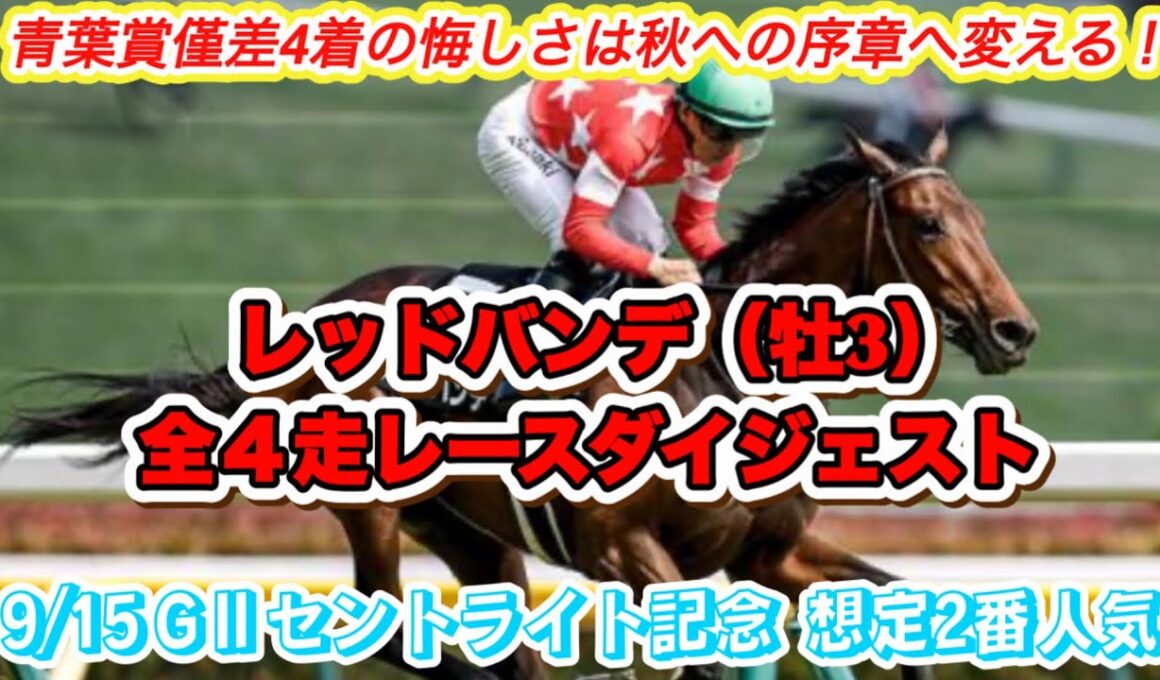 【レッドバンデ】GⅡセントライト記念想定2番人気！青葉賞4着馬の全4走レースダイジェスト