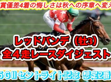 【レッドバンデ】GⅡセントライト記念想定2番人気！青葉賞4着馬の全4走レースダイジェスト