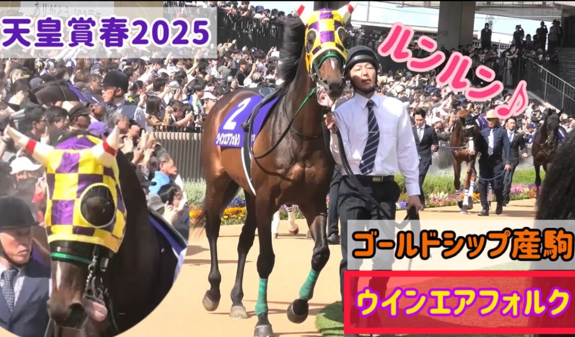 【天皇賞春2025】最年長8歳のウインエアフォルクが1番ルンルン♪で歩いてて可愛い💗ゴール前に3頭差してかっこよかった！【ゴールドシップ産駒】
