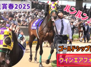 【天皇賞春2025】最年長8歳のウインエアフォルクが1番ルンルン♪で歩いてて可愛い💗ゴール前に3頭差してかっこよかった！【ゴールドシップ産駒】