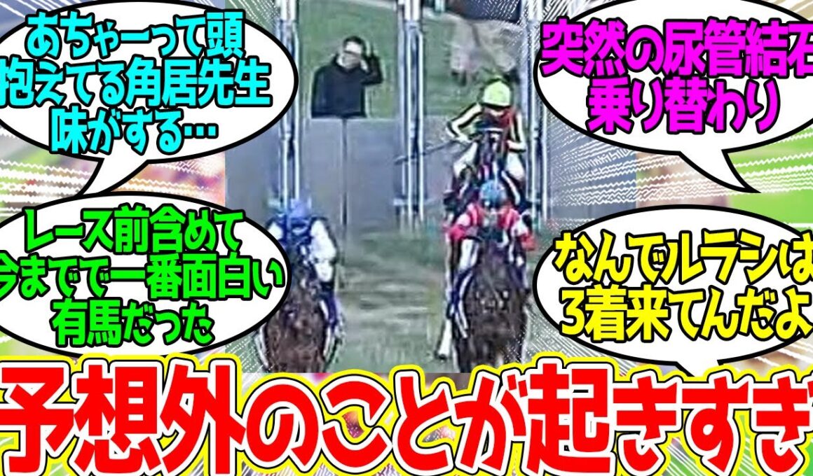 2012年有馬記念 ←「エンターテイメント」としてはこれ以上のレースはないと思ってる…に対するみんなの反応！【競馬 の反応集】