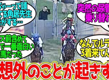 2012年有馬記念 ←「エンターテイメント」としてはこれ以上のレースはないと思ってる…に対するみんなの反応！【競馬 の反応集】
