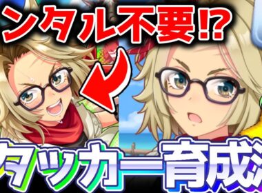 【チャンミ攻略】先入観は捨てよう！？Rタッカー育成法を徹底解説！京都2000ｍ秋華賞