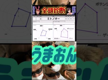 #ミトノオー　#フェブラリーステークス2025 #競馬予想ハイライト #全頭診断