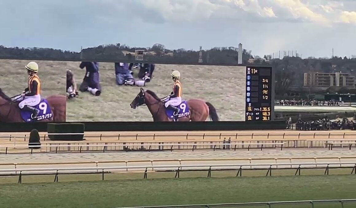 250223フェブラリーステークス　コスタノヴァ　ウイニングラン　キング騎手