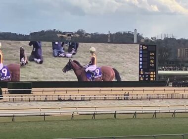 250223フェブラリーステークス　コスタノヴァ　ウイニングラン　キング騎手